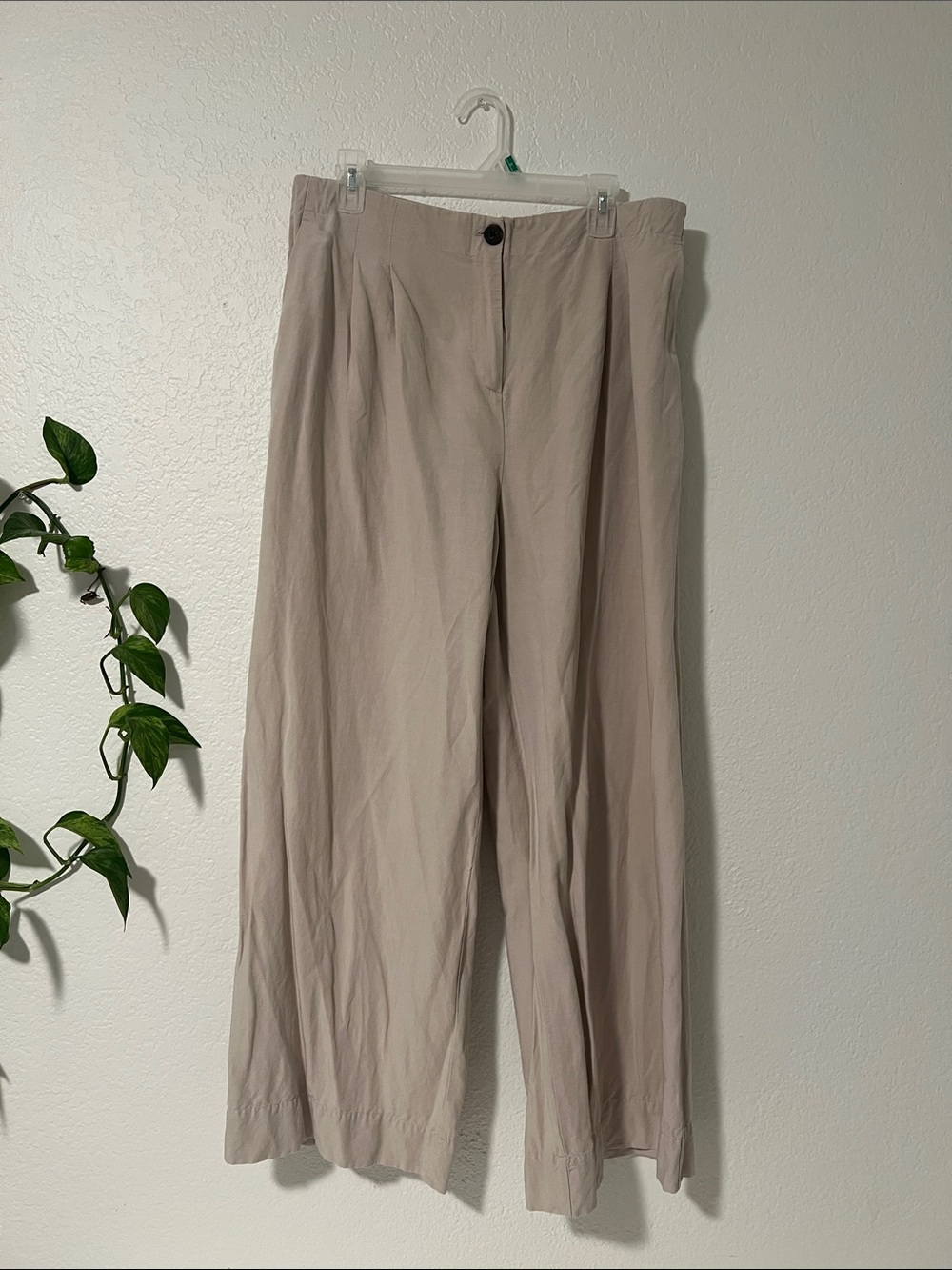 Wide Leg Neutral Beige Pants